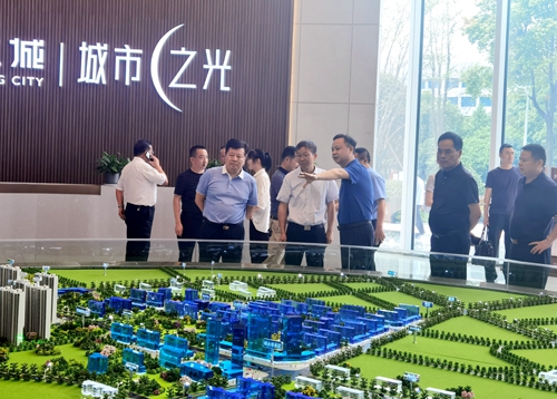 益陽市副市長胡安邦率隊調(diào)研建工城項目