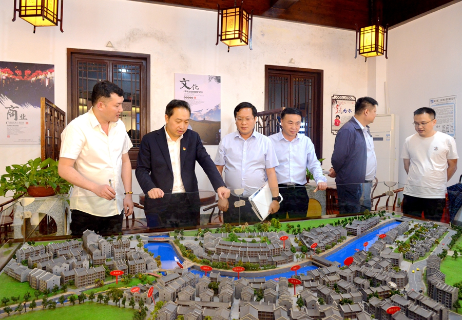郴州市委副書記、代市長吳巨培率隊調(diào)研集團(tuán)在郴投資項目 對裕后街發(fā)展作現(xiàn)場指導(dǎo)