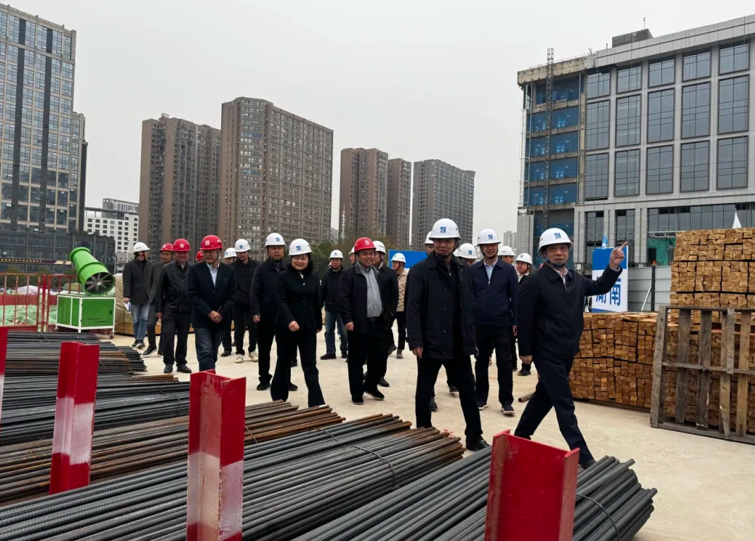 集團(tuán)黨委委員、副總經(jīng)理羅振宇赴湖南建投·領(lǐng)樾府項(xiàng)目開展調(diào)研工作
