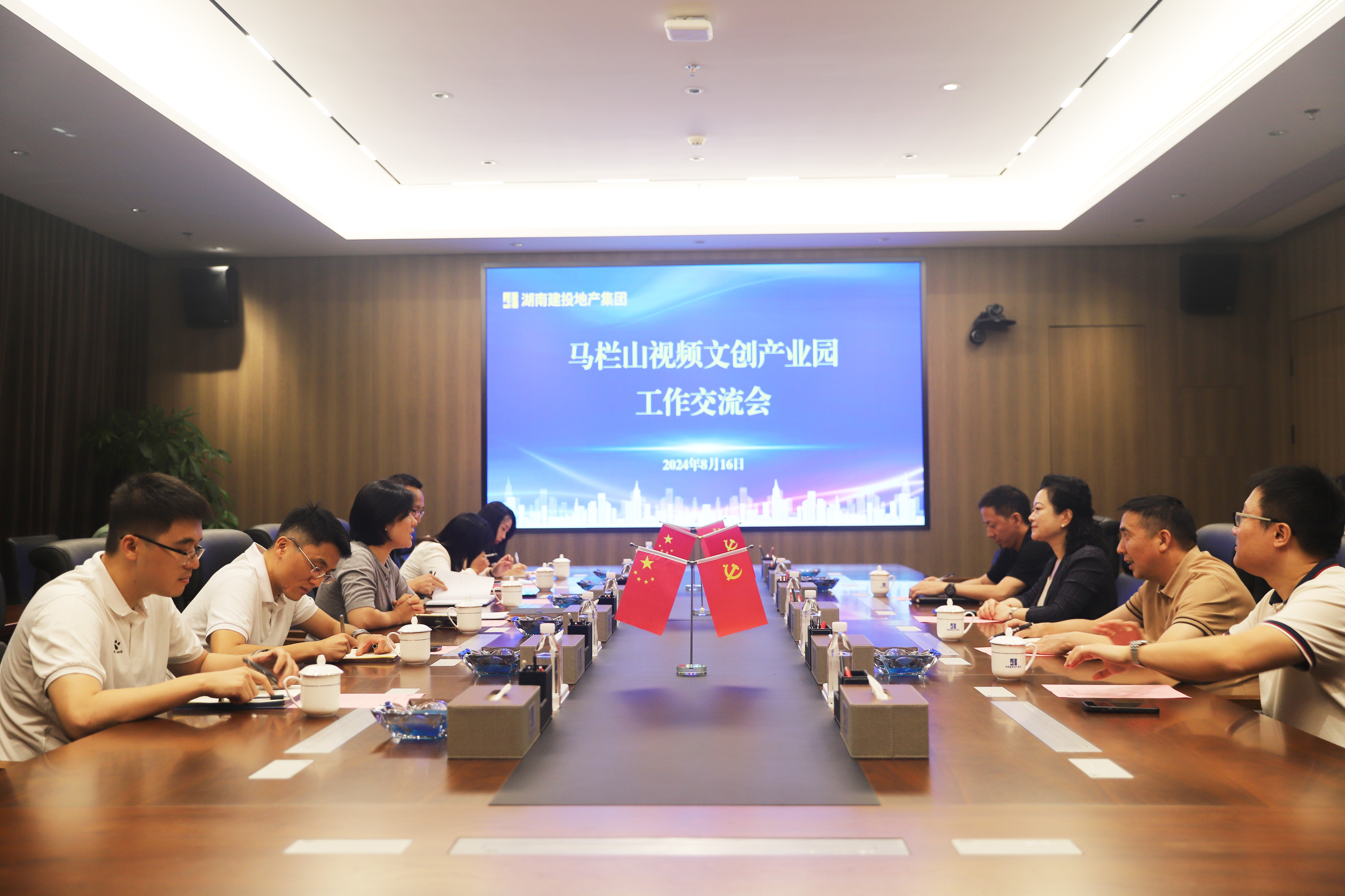 馬欄山視頻文創(chuàng)產業(yè)園黨工委副書記、管委會主任胡珊珊一行來司交流